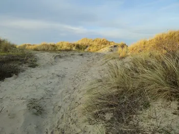 Oostnieuwkerke duinen wandeling in de koude (België)